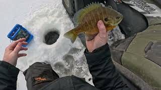 Ice Fishing 2025 - Big Bluegill - Big Crappie - Great Panfish Day