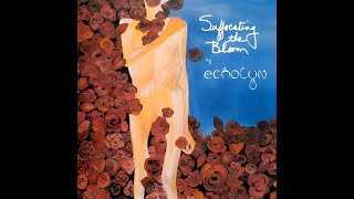 Watch Echolyn Suffocating The Bloom video