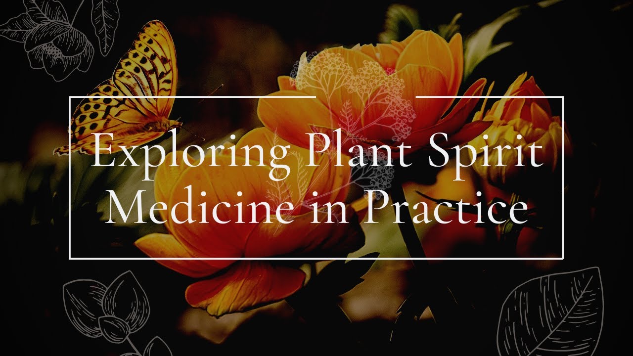 Exploring Plant Spirit Medicine in Practice - YouTube
