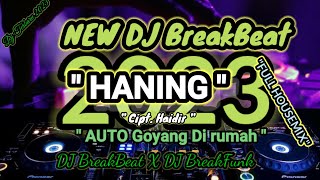 DJ Haning New Remix 2023 - Cipt. Haidir - DJ Lagu Dayak terbaru 2023