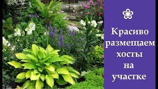 ❀ Красиво размещаем хосты на участке