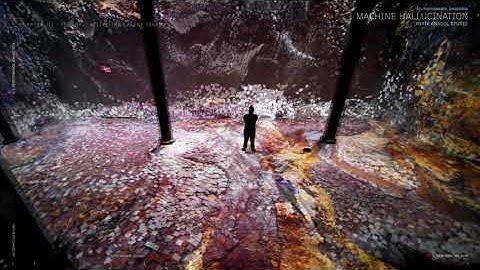 MACHINE HALLUCINATION