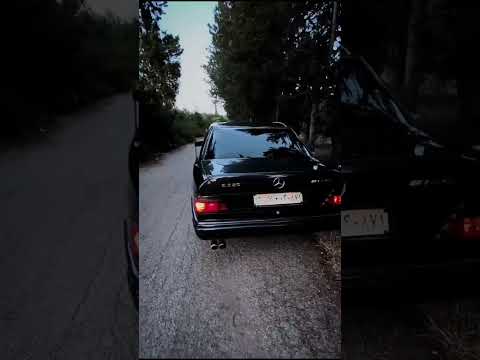  320 فرخ الشبح