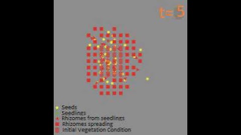 Modeling Invasive Vegetation Spread