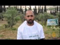 فعاليات الفلسطينيين بيوم الأرض