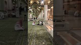 حلقات الاجازات القرانية في المسجد النبوي