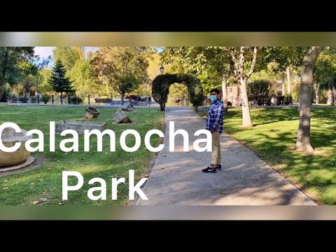 Calamocha Park 2020