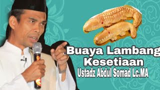 Roti Buaya Lambang Kesetiaan || Ustadz Abdul Somad,Lc.MA