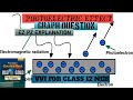 PHOTOELECTRIC EFFECT VVI GRAPH QUESTION FOR CLASS 12 NEB BOARD !!EZ PZ EXPLANATION!!#physics