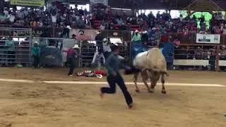 Privado el Andaliego de la Constitucion en la plaza Garbaldi de Texas USA 2018