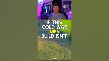 The Cold War MP5 is NICE!!