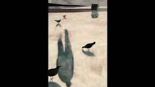 Download lagu Cordura - Boom Bap Beat Uso Libre - Instrumental HIP HOP Base de Rap