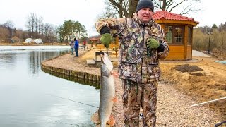 Ловля щуки весной на спиннинг видео 2015 год(Отличная рыбалка в ЗаВидном. Щука на 6.5 кг., 2015-04-12T18:03:43.000Z)