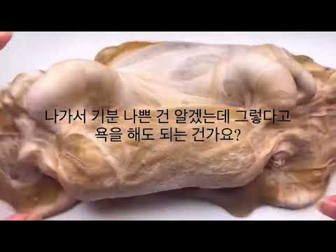 액괴 유튜버 미나 님 공론화 공론화 공로나 공론화시리즈 여러분들 아시는 미나님 맞아요