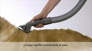 Cepillo para pelos de mascotas Sirena. Con auto limpieza. – SHOP SSEU -  SIRENA SYSTEM EUROPE