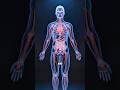 Why Do We Feel Pain? (Your Body’s Warning System) #facts #science #shorts