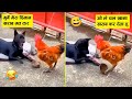 मुर्गे ने कांड कर दिया और कुत्ता बस देखता रह गया😂🤣llAnimal funniest moment recorded on cam part-32