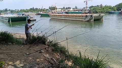 bãi câu đẹp sông đồng nai lên nhiều loại cá .... cá mè hoi mè vinh và cóc cầy
