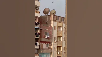 امسك حرامي في السويس 