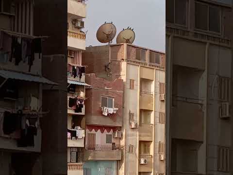 امسك حرامي في السويس