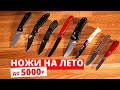 Как выбрать складной нож до 5000 рублей?