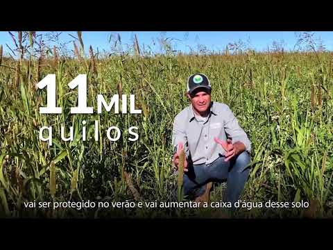 Video: Plantas De Cobertura