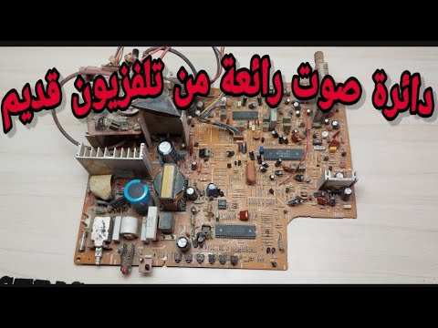 فيديو: من هي دائرة مكبر الصوت؟