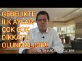 Gebelkte lk aylar tehlkeldr ve ok dkkatl olunmalidir anne adayina yapilan baskilar ve stres