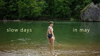 life lately | a decision, creative projects, reading & time in nature