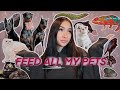 Feeding all my pets again