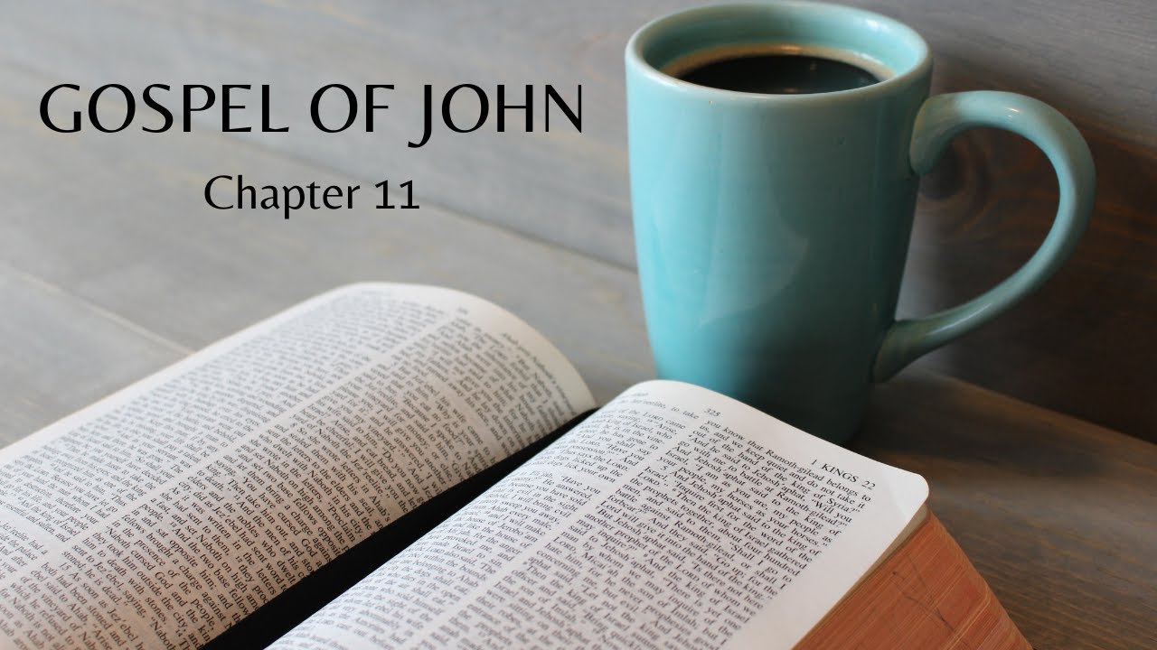 Gospel of John Chapter 11 - YouTube