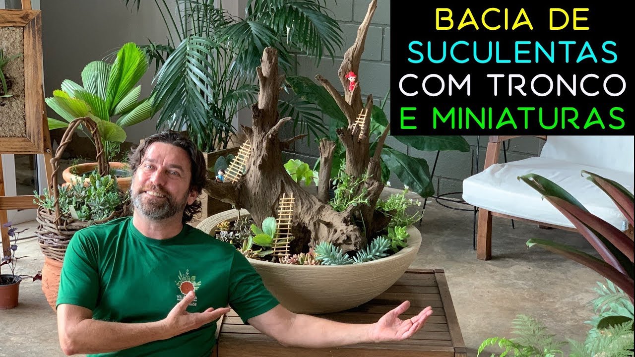 Bacia de Suculentas com Tronco e Miniaturas Passo a Passo - thptnganamst.edu.vn