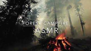 Forest Campfire 1 Hour ASMR Video - Background Noise Relaxing Warming Sleep Help ASMR