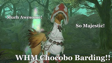 WHM Chocobo Barding!!!! & the Fastest Way to Level it to Rank 10
