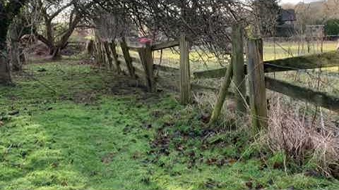 Rabbit proof fencing by AgriPest management