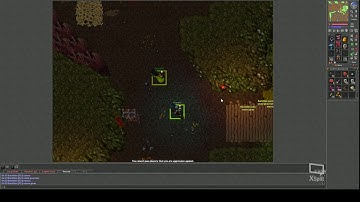 Tibia Rowana killing a corym botter and get chased by a 199 ed