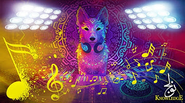 BEST OF MUSIC 2021 /TRAND MUSIC 2:20 HOUR