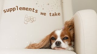 Supplements for Cavalier King Charles Spaniels // Supporting heart health, joints and immunity