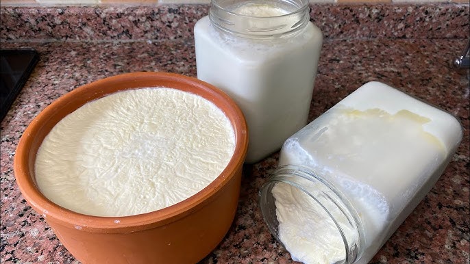 Kabak Dolması