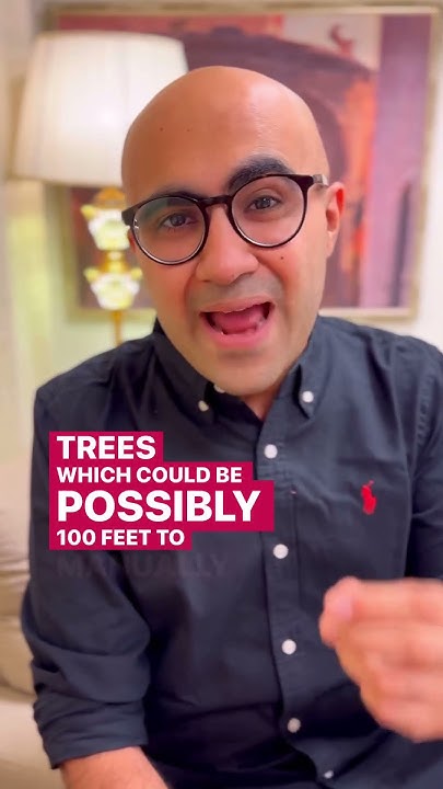 Most Expensive Dry Fruit In The World Startup Sarthak Ahuja YouTube most-expensive-dry-fruit-in-the-world-startup-sarthak-ahuja-youtube