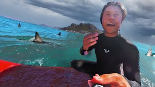 I Went Surfing with SHARKS...