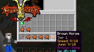Wynncraft 1.12: Horses Not Leveling Fix Wynncraft 1.12: Horses Not Leveling Fix