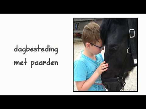 Paardentherapie Rijnsburg | In Galop - paardencoaching kinderdagbesteding kinderen met beperking nl