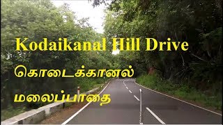 Kodaikanal Hills Full RoadTrip|Ghat Road to Kodaikanal  52Km RoadTrip | TimeLapseIndia