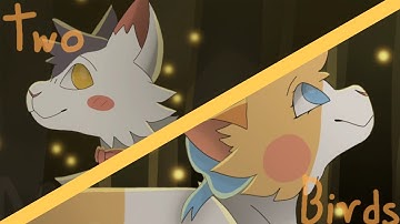 two birds animation meme - warrior cats Brightpaw & Swiftpaw PMV