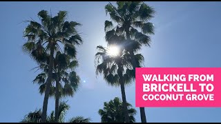 Walking from Brickell to Coconut Grove | Let's walk Miami series