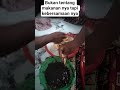 Bukan tentang makanan nya tapi kebersamaan nya #food #fyp