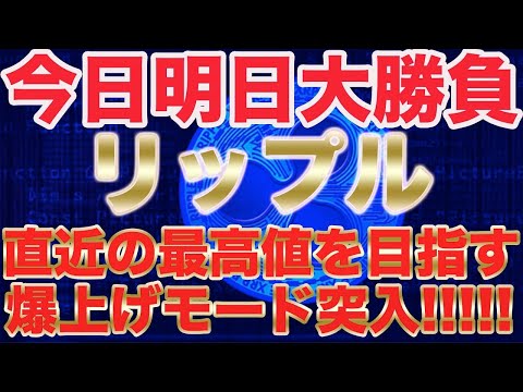 【リップル大勝負】今の間に稼ぐ、2022年には仮想通貨崩壊!?!?