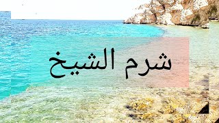 احلى بحر بالعالم  || رحلتى الى شرم الشيخ || #vlog11