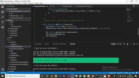 PHP Symfony 4 API Platform + Angular 8 :Lesson 5  Persisting entities and serializing data